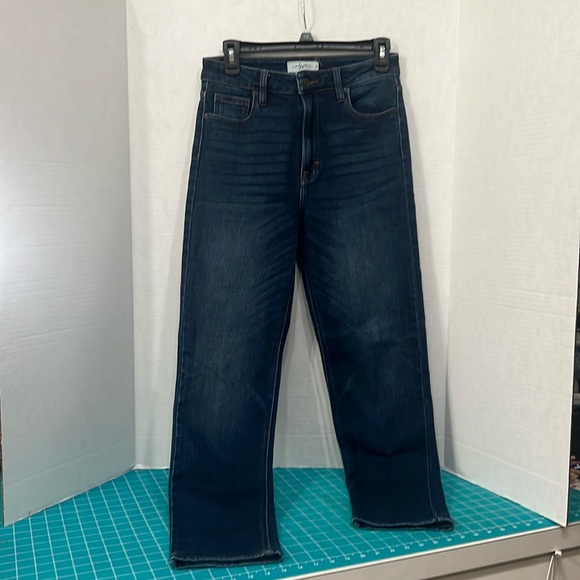 Carly Jean Los Angeles Denim - Carly Jean Los Angeles Brooke Dark Wash Juniors size 5
